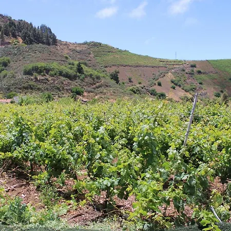 Finca El Cole Villa Las Palmas / Gran Canaria